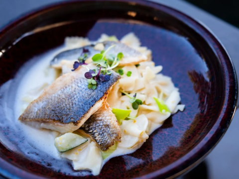 Fish Recipes Attract Growing Attention as Home Cooking Continues to Rise